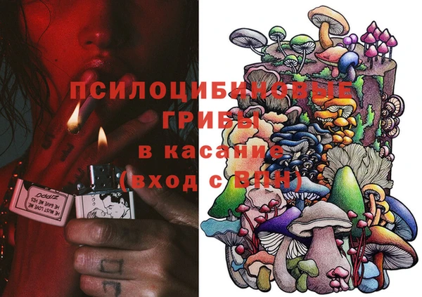 трава Снежногорск
