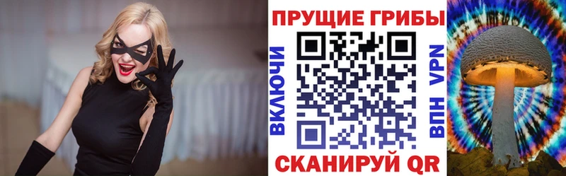 Псилоцибиновые грибы Magic Shrooms  как найти закладки  Асино 